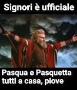 FB_IMG_1649709336260.jpg