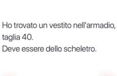 FB_IMG_1649709217286.jpg