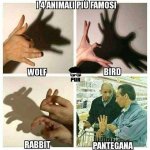 FB_IMG_1650015848502.jpg