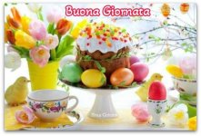 FB_IMG_1650096913252.jpg