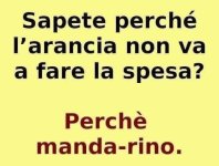 FB_IMG_1650123289448.jpg