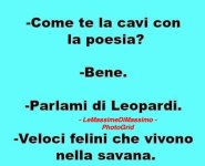 FB_IMG_1650096971137.jpg