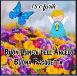 FB_IMG_1650267033796.jpg