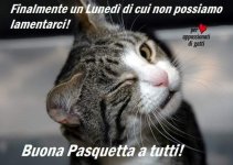FB_IMG_1650271871330.jpg