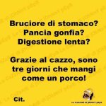 FB_IMG_1650362465699.jpg