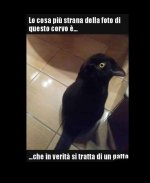 FB_IMG_1650435603379.jpg