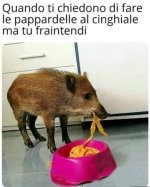 FB_IMG_1650541713463.jpg
