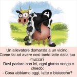 FB_IMG_1650874912704.jpg