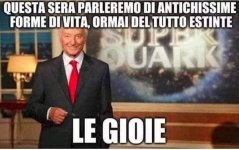 FB_IMG_1651040502668.jpg
