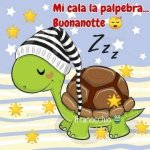 FB_IMG_1651087772550.jpg