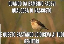 FB_IMG_1651211255405.jpg