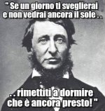 FB_IMG_1651211325207.jpg