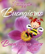 FB_IMG_1651394549986.jpg