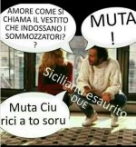 FB_IMG_1651298451818.jpg