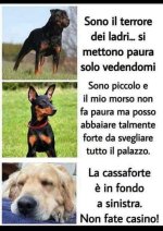 FB_IMG_1650714746838.jpg