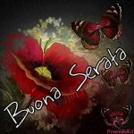 Immagini-Buona-Serata-33.jpg