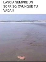 FB_IMG_1651577063436.jpg