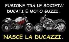 FB_IMG_1651732754453.jpg