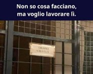 FB_IMG_1651730608269.jpg