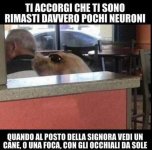 FB_IMG_1651831412546.jpg