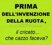 FB_IMG_1651730600744.jpg