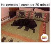 FB_IMG_1651914928227.jpg