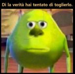 FB_IMG_1652371525099.jpg