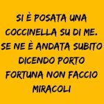 FB_IMG_1652420828598.jpg