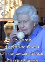 FB_IMG_1650714639884.jpg