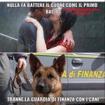 FB_IMG_1650611046313.jpg