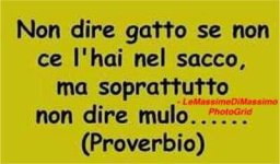 FB_IMG_1652605438276.jpg