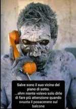 FB_IMG_1652712931842.jpg