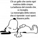 FB_IMG_1652697144921.jpg