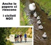 FB_IMG_1652802124826.jpg
