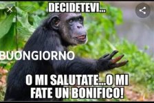 FB_IMG_1652853037417.jpg