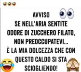 FB_IMG_1652962619727.jpg