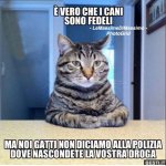 FB_IMG_1653060210948.jpg