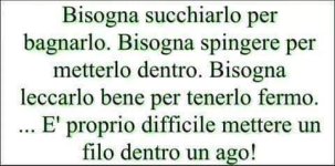 FB_IMG_1653049761459.jpg