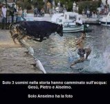FB_IMG_1653132512979.jpg