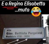 FB_IMG_1653112813401.jpg