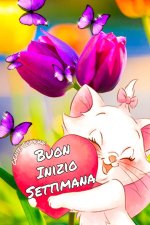 FB_IMG_1653287393377.jpg