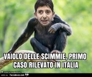 6996279100-vaiolo-delle-scimmie-primo-caso-rilevato-in-italia_b.jpg