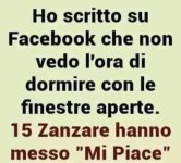 FB_IMG_1653804242767.jpg