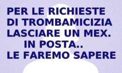 FB_IMG_1653804158287.jpg