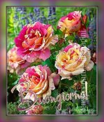 FB_IMG_1653887265025.jpg