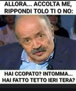 FB_IMG_1653908836697.jpg