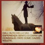FB_IMG_1653976945481.jpg