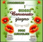 FB_IMG_1654033130968.jpg