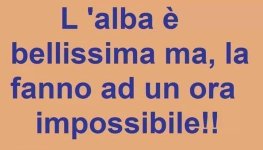 FB_IMG_1654163058131.jpg