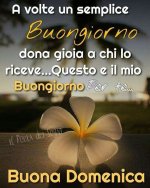 30c0cbdb2d85b01728f744f5a25305cc.jpg